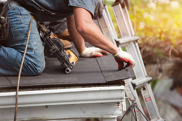 Best Roof Gutter Cleaning  in Strafford, MO
